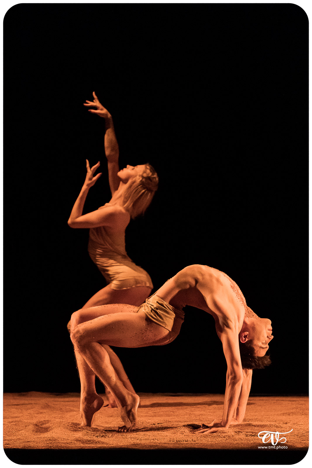 MY LAND (RECIRQUEL COMPANY)